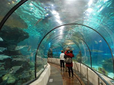 Aquarium water treatment
