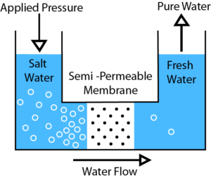 semi permeable membrane