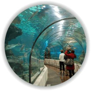 Aquarium Water Quality