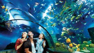 aquarium pure water